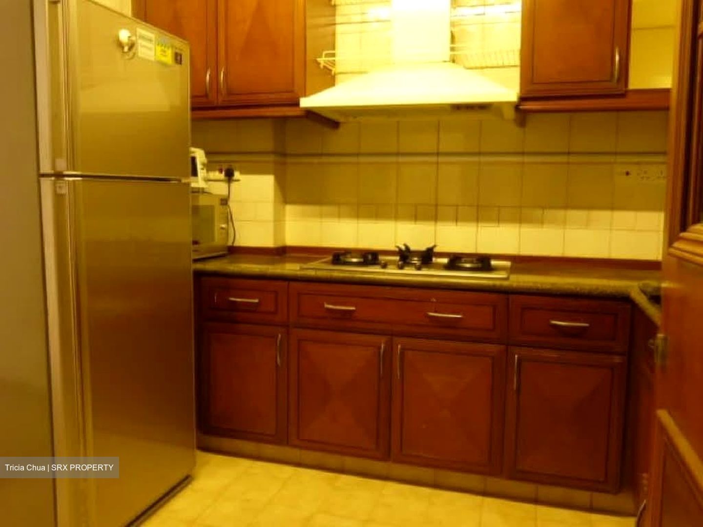 Dover Parkview (D5), Condominium #570067931